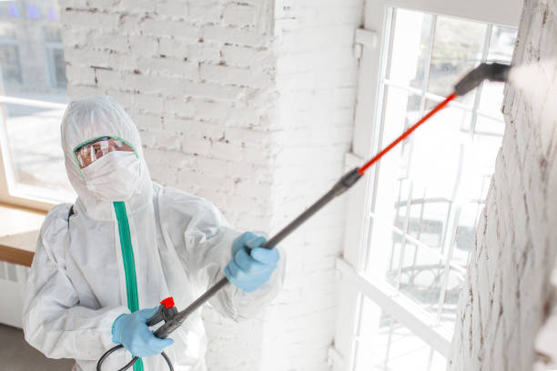 Best Asbestos and Lead Testing During Mold Inspection  in Bodega Bay, CA