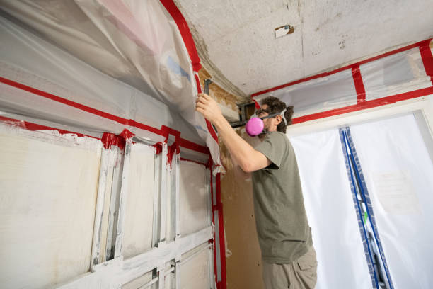  Bodega Bay, CA Mold Removal Pros